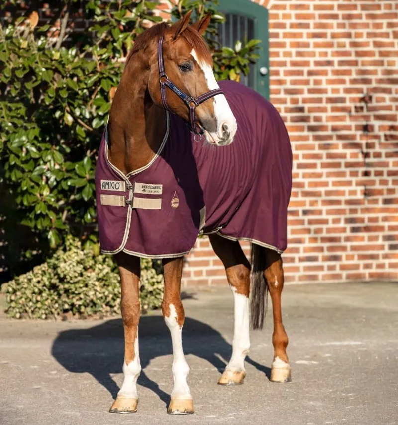 Horseware Amigo Stable Sheet - Fig/Navy/Tan