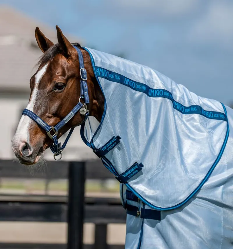 Horseware Amigo Bug Rug - Heather Blue/Blue/Silver-3