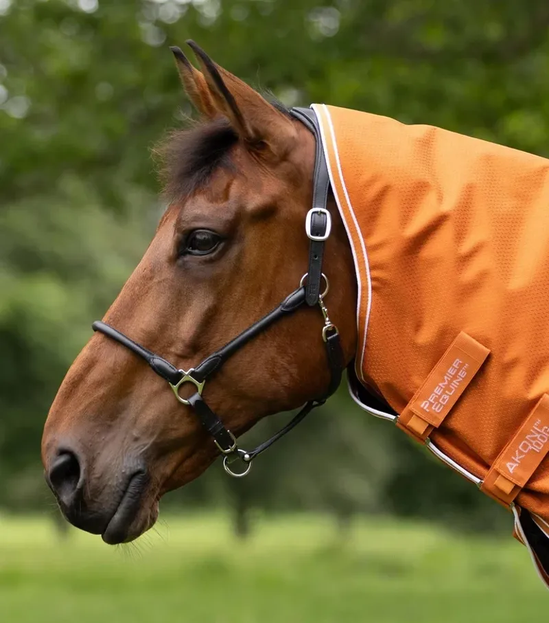 Premier Equine Akoni 100g Turnout Rug With Classic Neck Cover - Burnt Orange-3