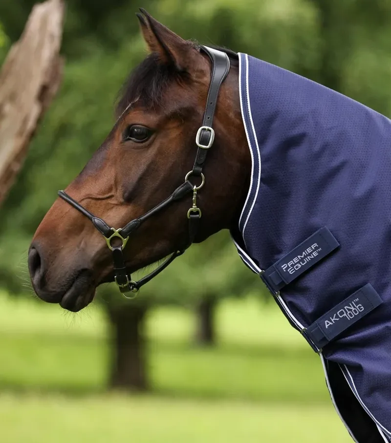 Premier Equine Akoni 100g Turnout Rug With Classic Neck Cover - Navy-4