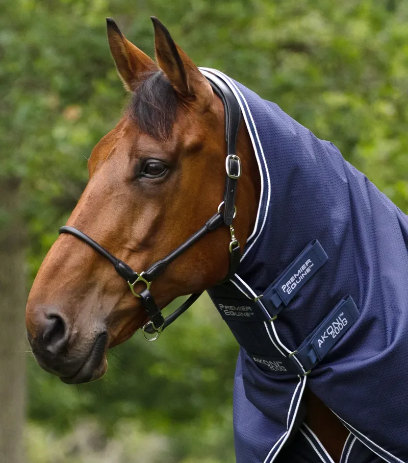 Premier Equine Akoni 200g Turnout Rug With Classic Neck Cover - Navy-1