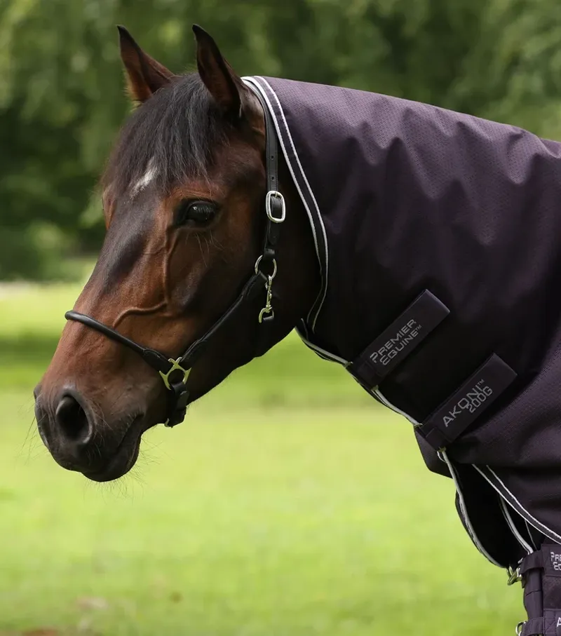 Premier Equine Akoni 200g Turnout Rug With Classic Neck Cover - Purple-5