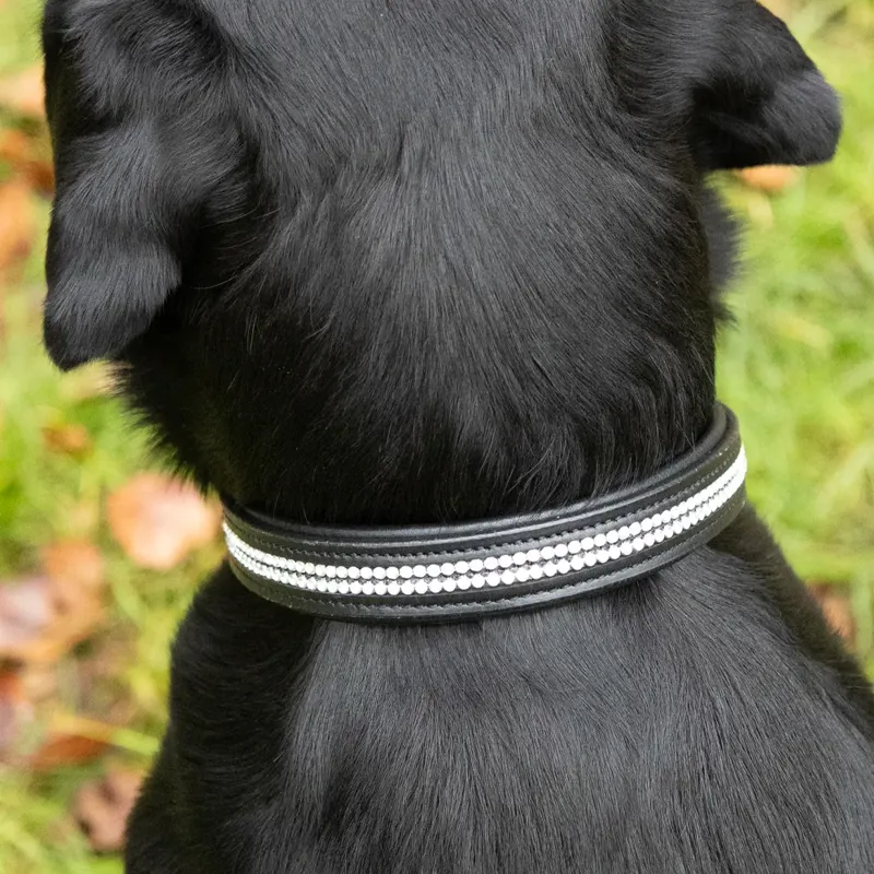Benji and Flo Dazzling Diamante Dog Collar - Black-3