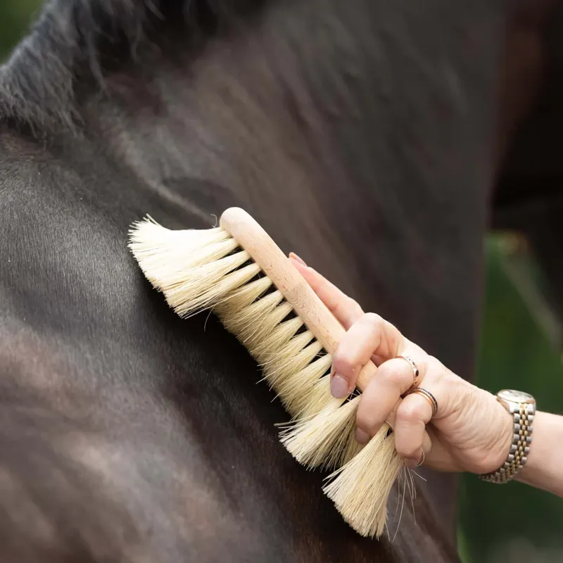 Smart Grooming Borstiq Shaped Mex Soft Brush-2