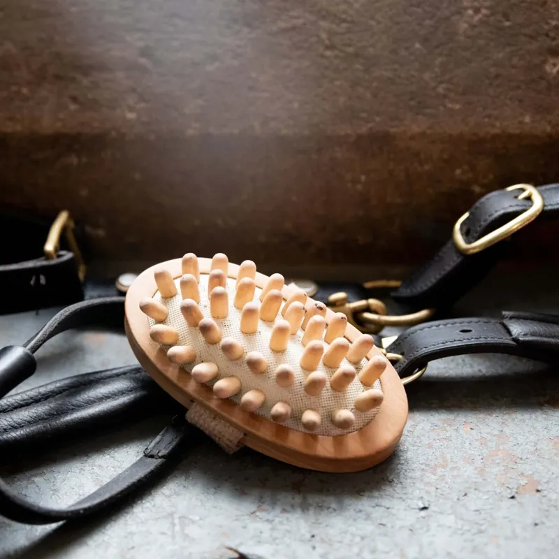 Smart Grooming Borstiq Massage Brush-1