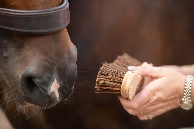 Smart Grooming Borstiq Banana Dandy Brush-3