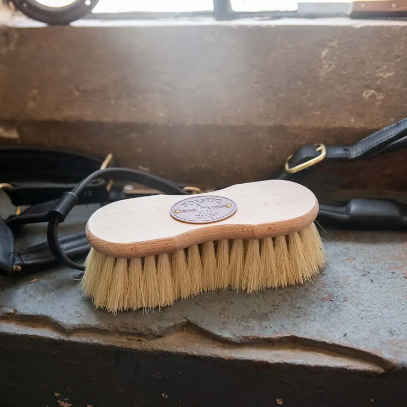 Smart Grooming Borstiq Shaped Mex Fibre Brush-1