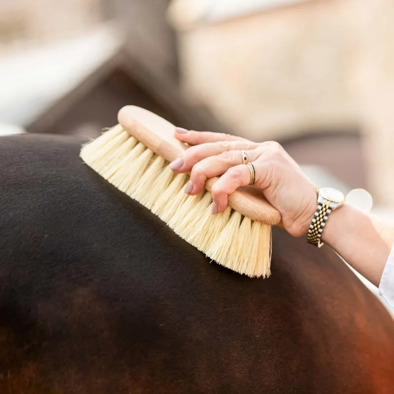 Smart Grooming Borstiq Shaped Mex Fibre Brush-3