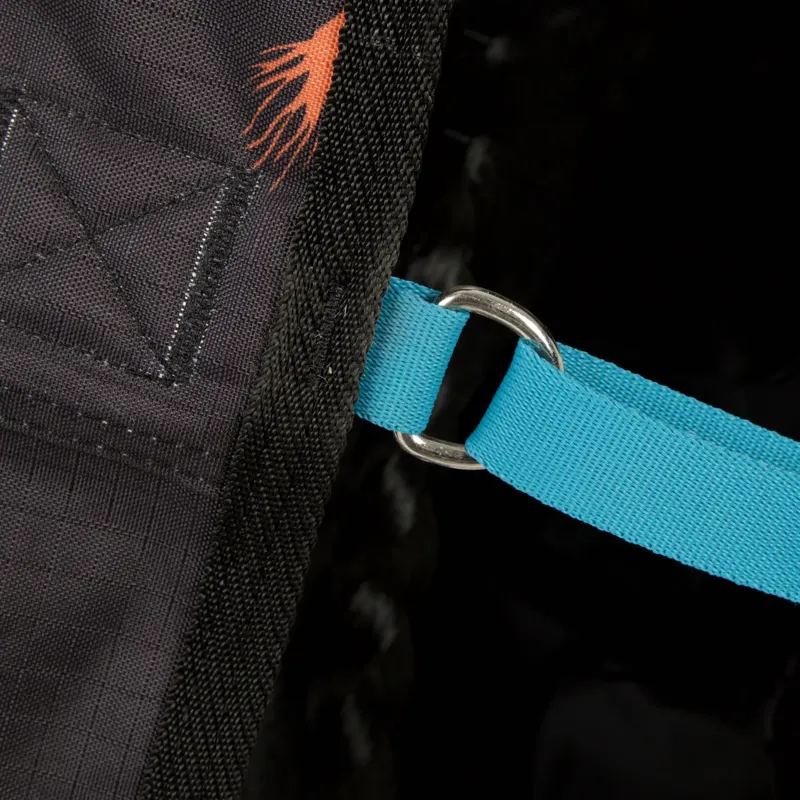 Bridleway Ontario 220g Turnout Rug - Black Horse-3