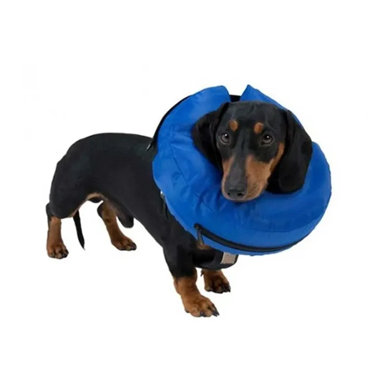 Buster Inflatable Collar - Blue-1