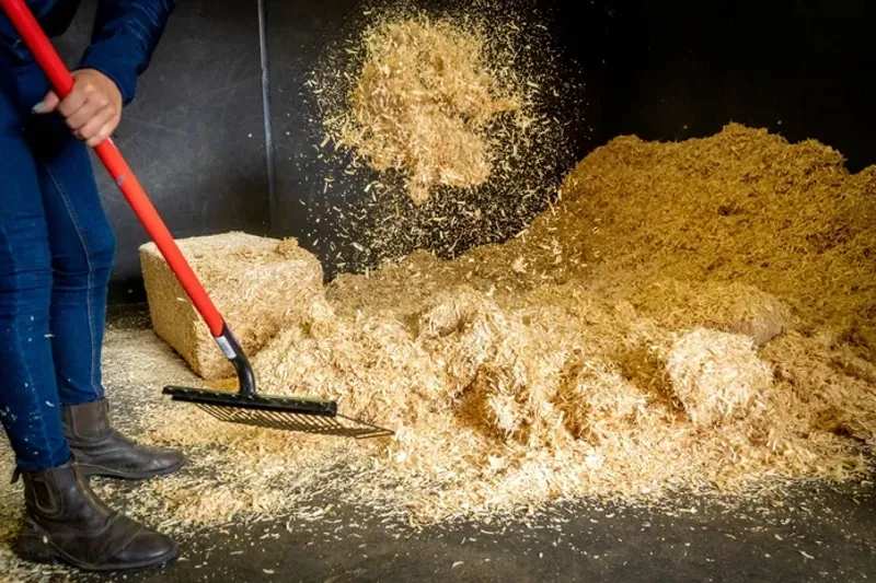 Bedmax Littlemax Shavings - 18kg-2