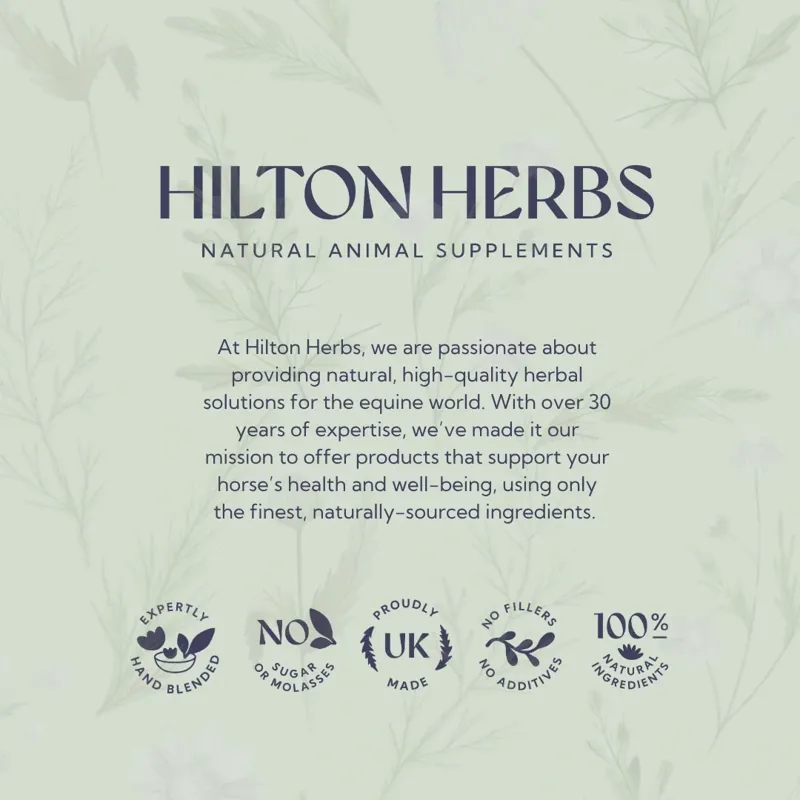 Hilton Herbs Ezee Arnica Scuff Soother - 500ml-3