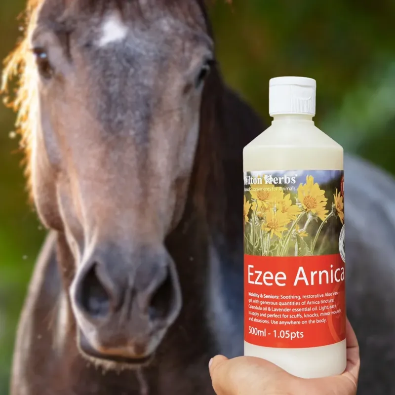 Hilton Herbs Ezee Arnica Scuff Soother - 500ml-1