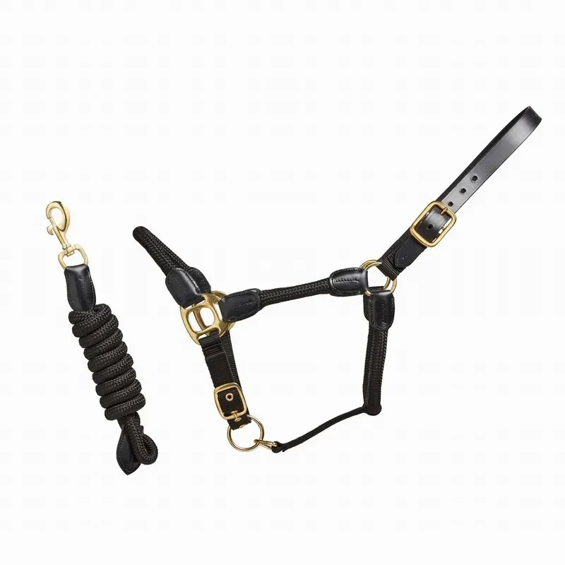 Cameo Rope Leather Headcollar and Rope - Black