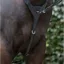 Cameo Performance Elasticated Breastplate - Black