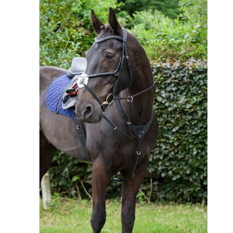 Cameo Performance Elasticated Breastplate - Black-3