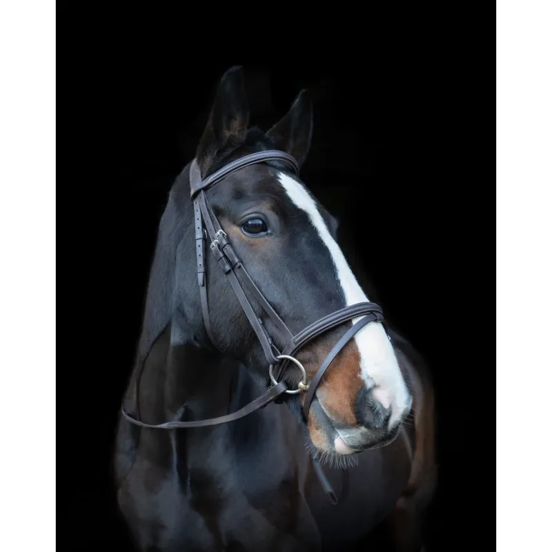 Cameo Anatomic Comfort Bridle - Brown