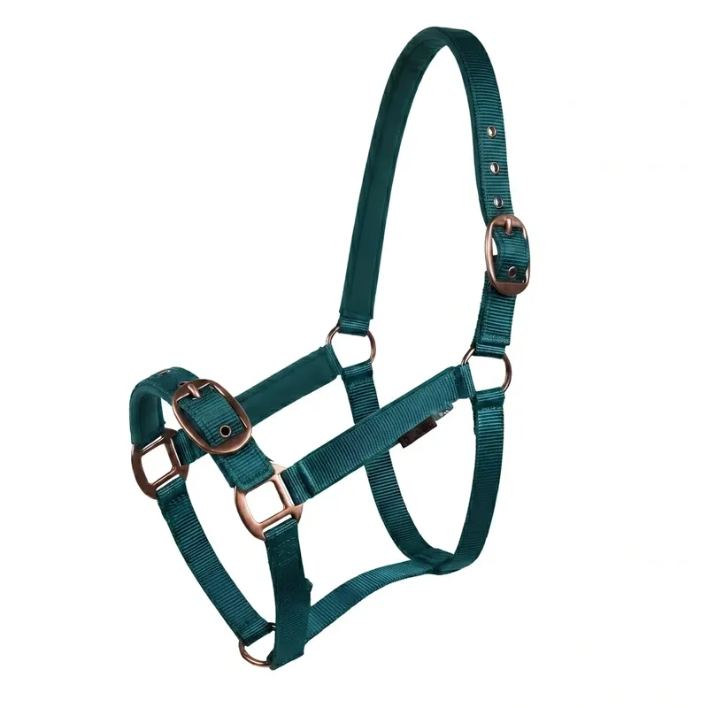 Cameo Suede Padded Headcollar - Evergreen