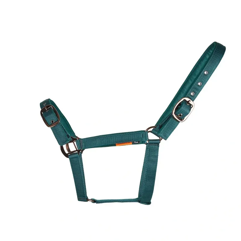 Cameo Suede Padded Headcollar - Evergreen-1