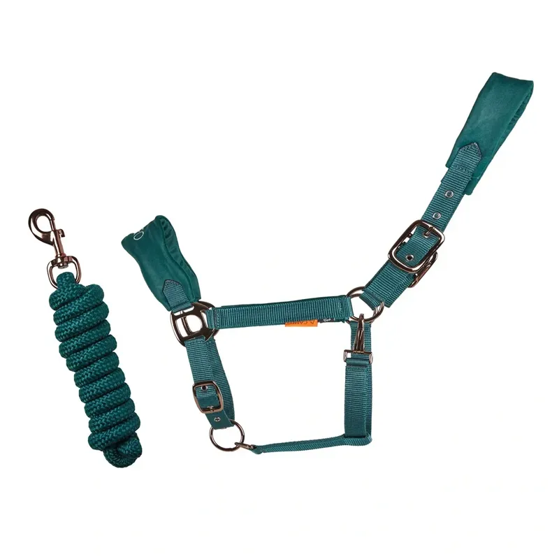 Cameo Suede Elite Headcollar and Leadrope - Evergreen
