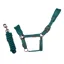 Cameo Suede Elite Headcollar and Leadrope - Evergreen