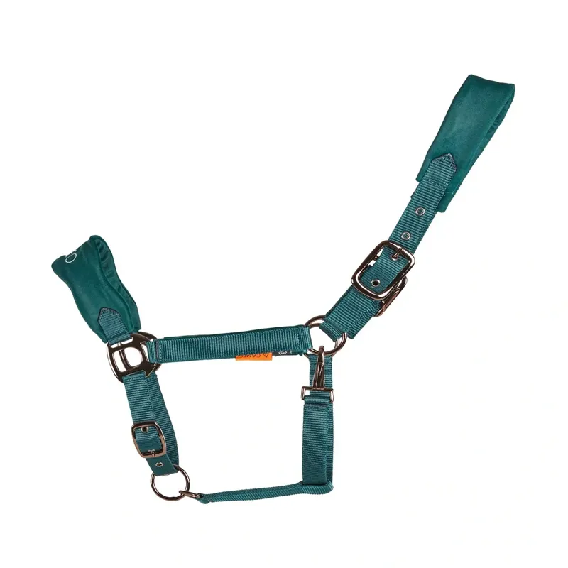 Cameo Suede Elite Headcollar and Leadrope - Evergreen-2