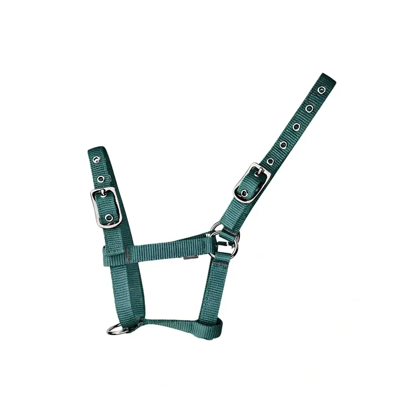 Cameo Foal Headcollar - Evergreen-1