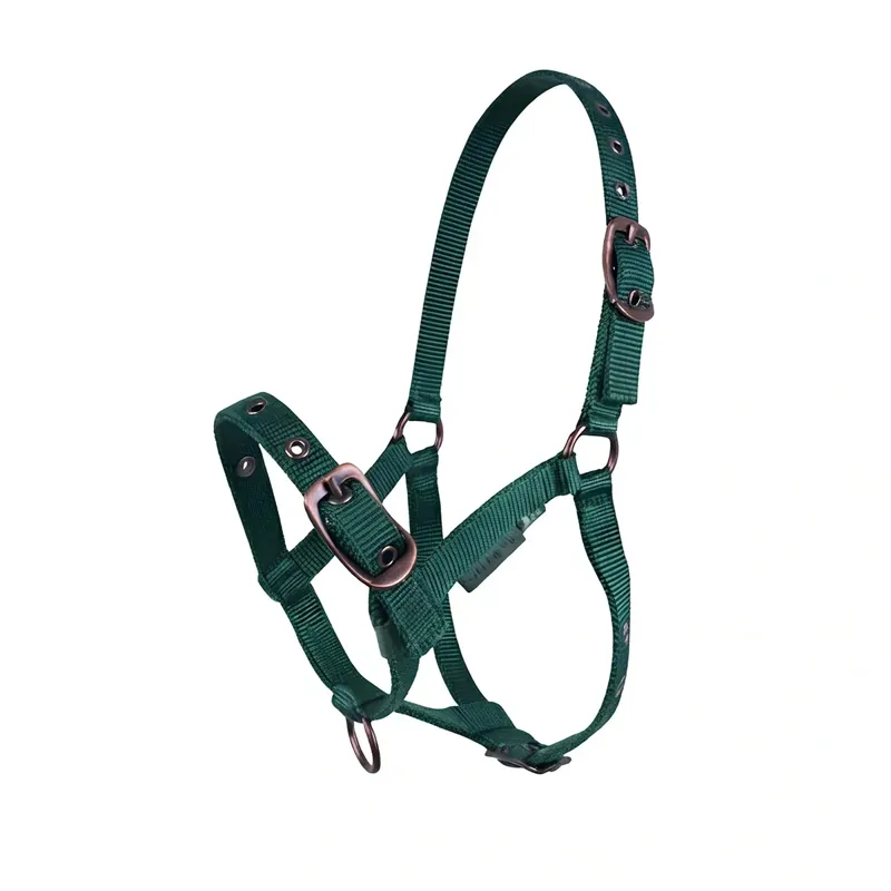 Cameo Foal Headcollar - Evergreen