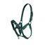 Cameo Foal Headcollar - Evergreen