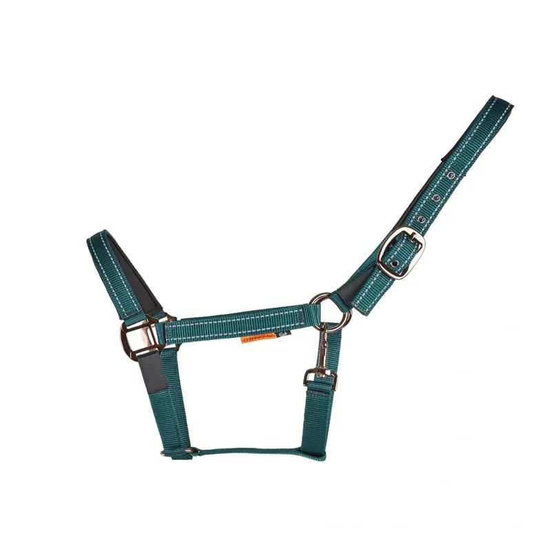 Cameo Sentinel FieldSafe Headcollar - Evergreen-1