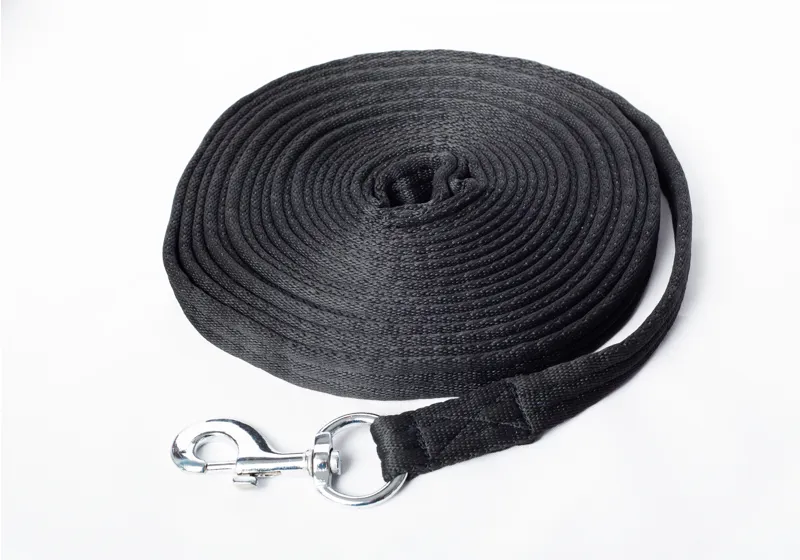 Cameo Lunge Line - Black - 24ft