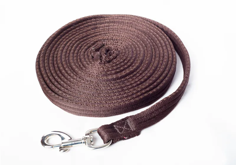 Cameo Lunge Line - Brown - 24ft