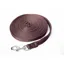 Cameo Lunge Line - Brown - 24ft