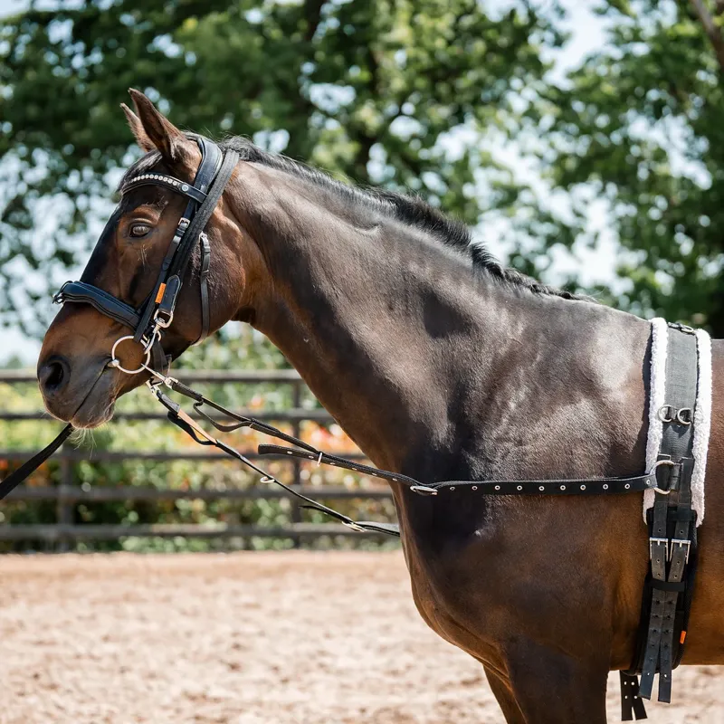 Cameo Side Reins - Black - One Size-2
