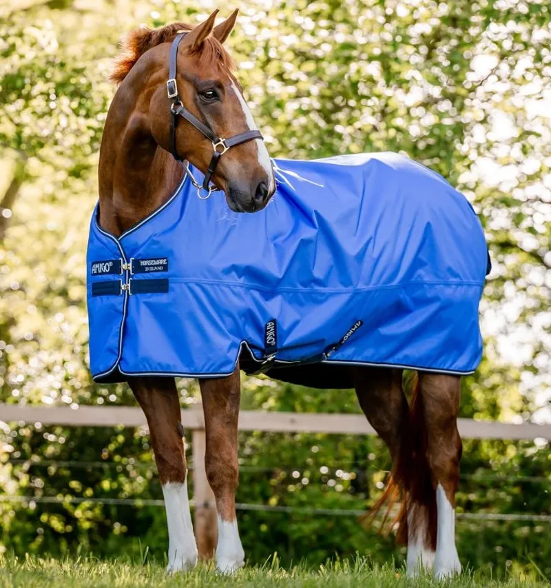 Horseware Amigo Hero Ripstop 50g Lite Turnout Rug - Blue/Navy