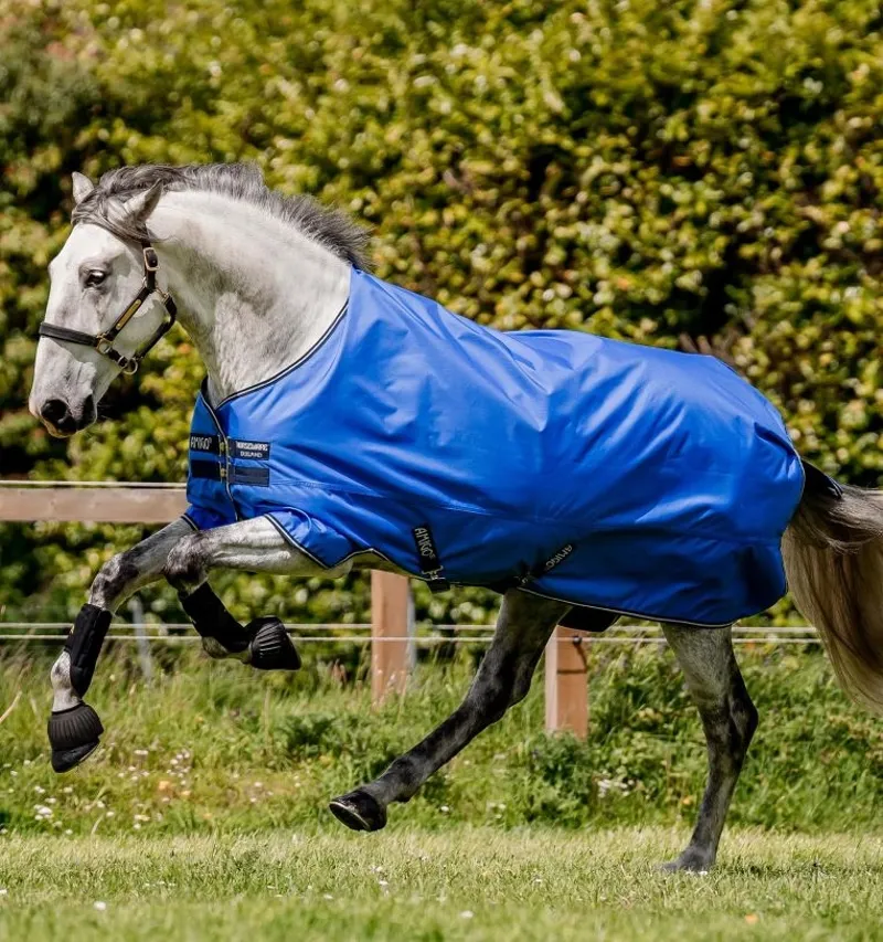 Horseware Amigo Hero Ripstop 50g Lite Turnout Rug - Blue/Navy-5