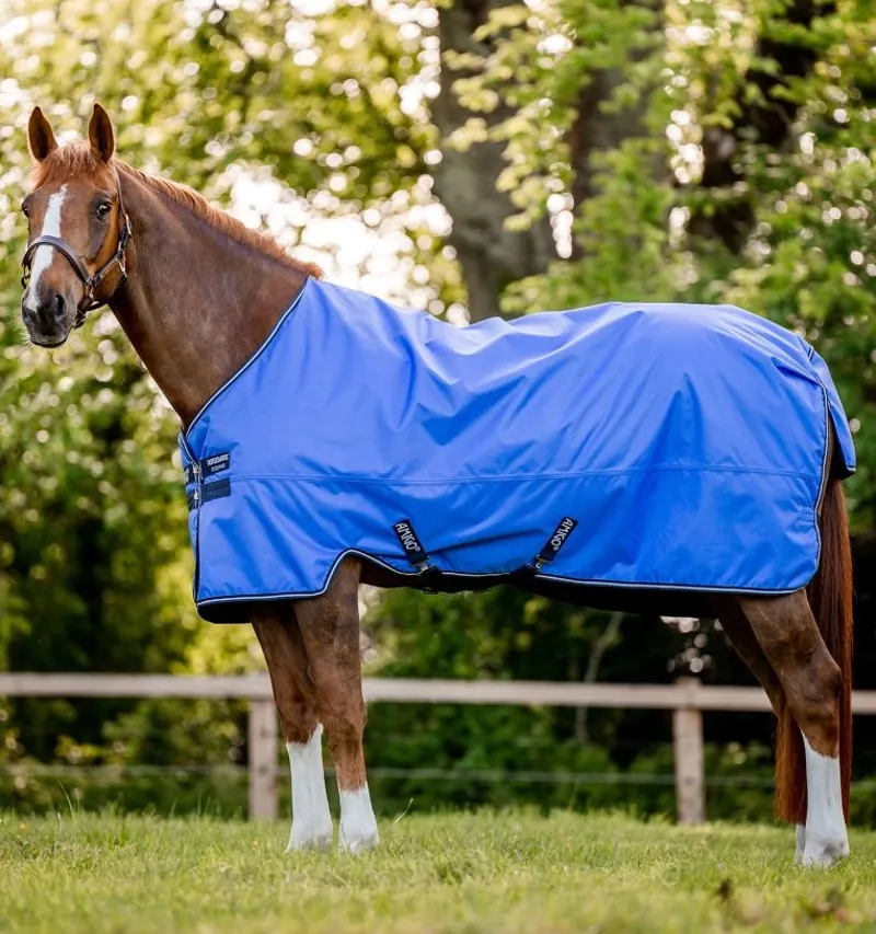 Horseware Amigo Hero Ripstop 50g Lite Turnout Rug - Blue/Navy-1