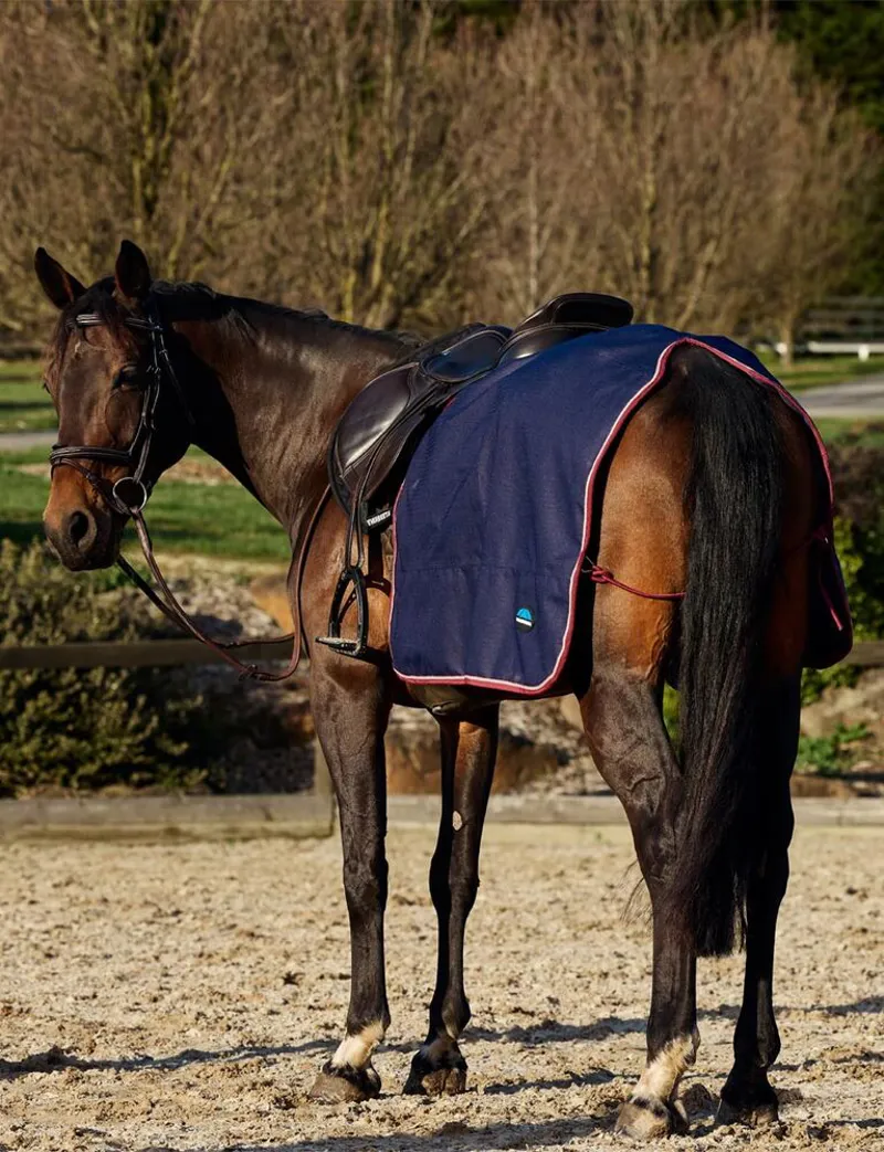 WeatherBeeta Essential Fleece Lined Quarter Sheet - Navy/Burgundy-2