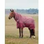 WeatherBeeta Comfitec Limited Edition 220g Turnout Combo Rug - Bit Print