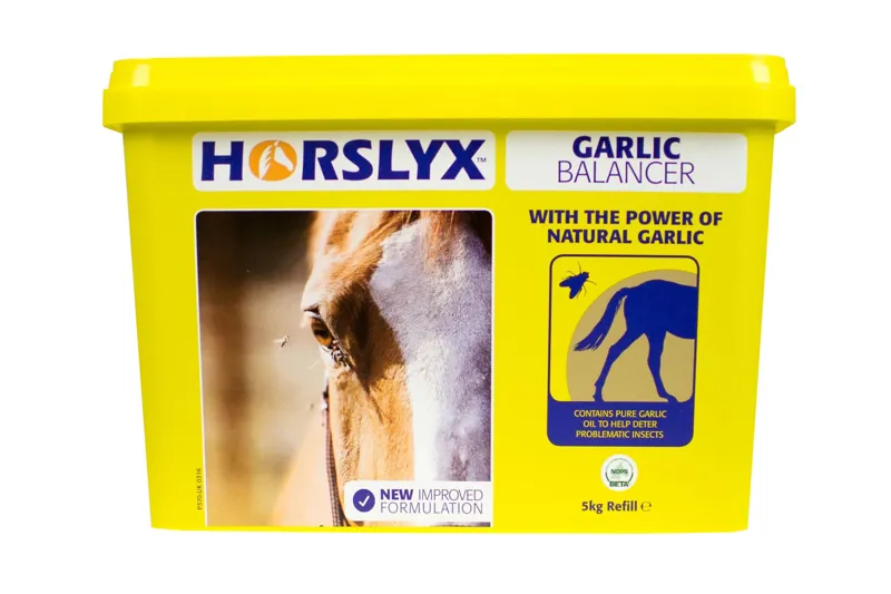 Horslyx Garlic Balancer Lick-1