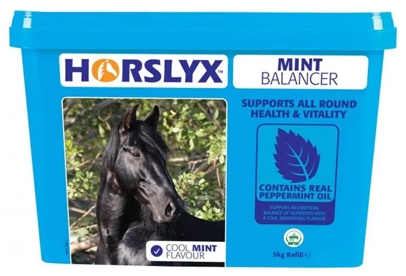 Horslyx Mint Balancer Lick-1