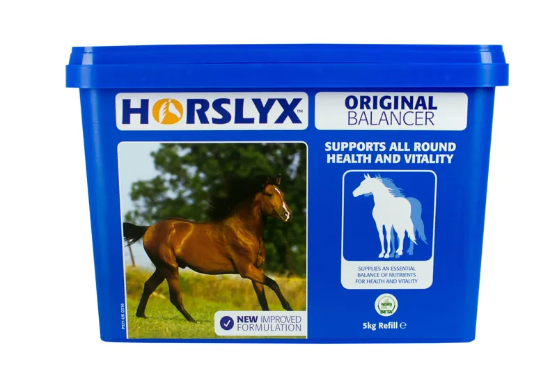 Horslyx Original Balancer Lick