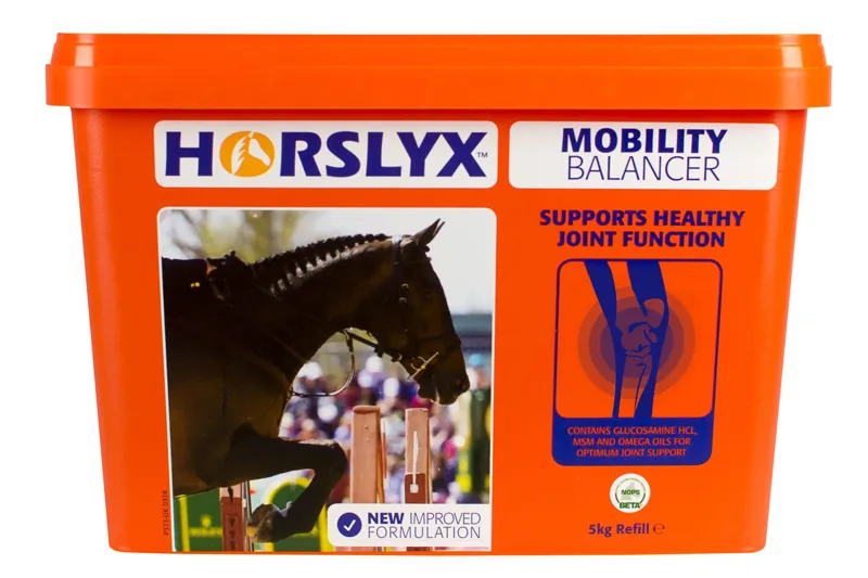 Horslyx Mobility Balancer Lick