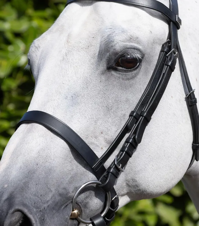 Premier Equine Cavesson Noseband For Racing Bridle - Black-1