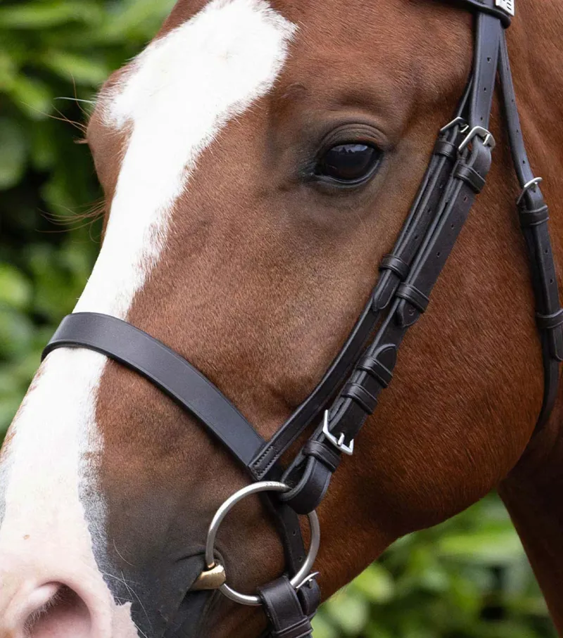 Premier Equine Cavesson Noseband For Racing Bridle - Dark Havana-1