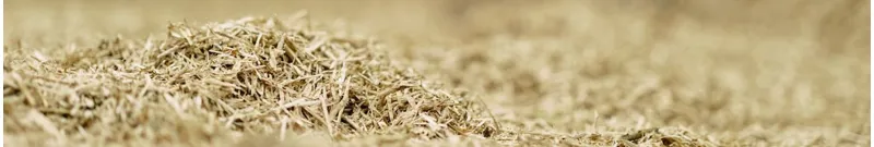 Caviera Raviera Rape Straw Bed Lavender - 20kg-2