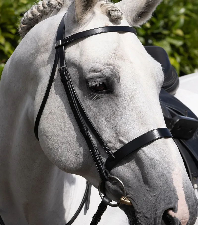 Premier Equine Cheek Pieces For Hunter Bridle - Black-3