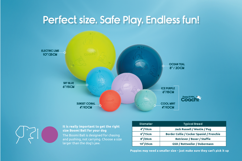 Coachi Boomi Ball 15 cm - Sky Blue-1