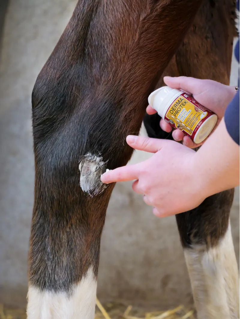 Kevin Bacon's Derma Protek Skin Protection and Hydration Cream-2