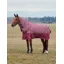 WeatherBeeta Comfitec Limited Edition 220g Turnout Rug Detach-A-Neck - Bit Print